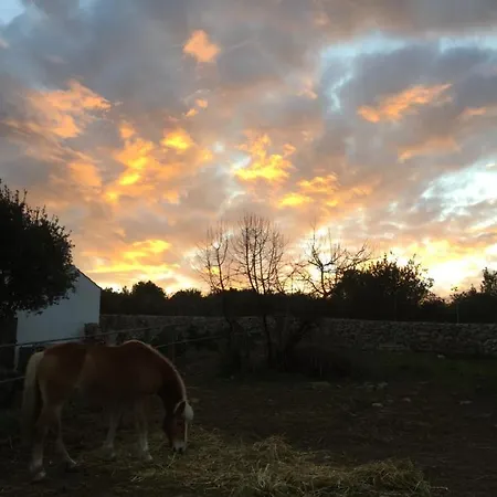 Badde Cubas 3* Usini