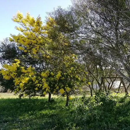 Alojamento de Acomodação e Pequeno-almoço Badde Cubas 3*