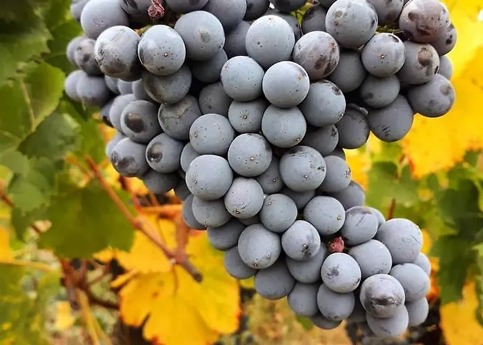 Badde Cubas ベッド・アンド・ブレックファスト 3*