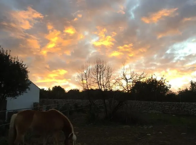 Badde Cubas 3* Usini