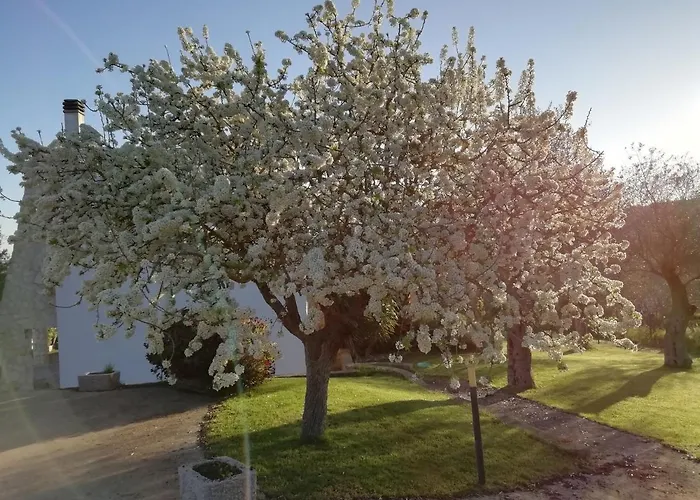 Badde Cubas ベッド・アンド・ブレックファスト