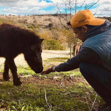Badde Cubas فندق مبيت وإفطار