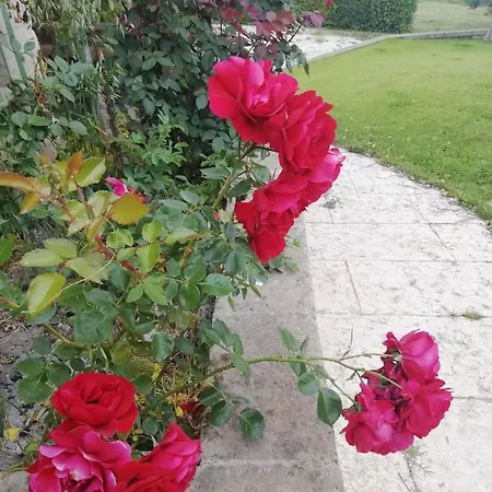 Badde Cubas Panzió Usini