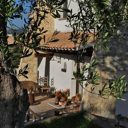Badde Cubas Bed & Breakfast Usini