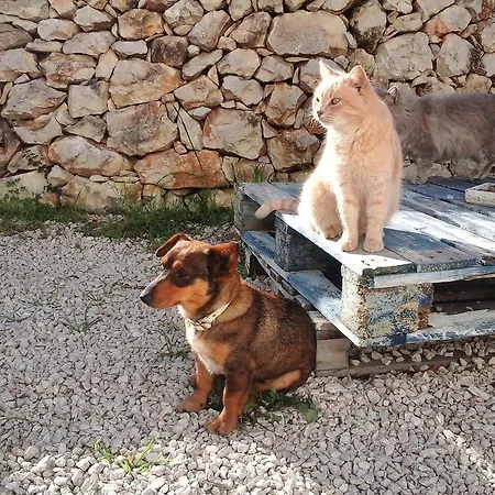Badde Cubas Panzió Usini