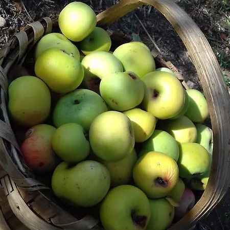 Badde Cubas فندق مبيت وإفطار 3*