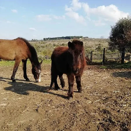Panzió Badde Cubas Usini