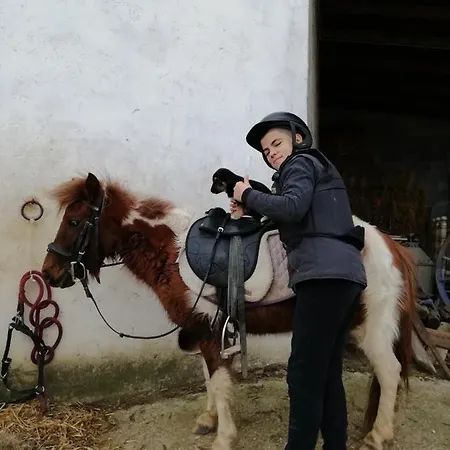 فندق مبيت وإفطار Badde Cubas Usini