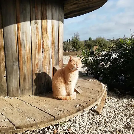 Badde Cubas Panzió Usini