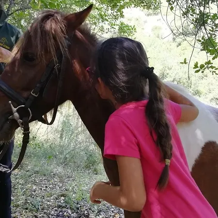 Panzió Badde Cubas 3*