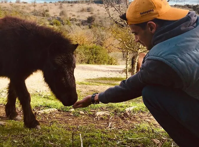 Badde Cubas Nocleg ze śniadaniem