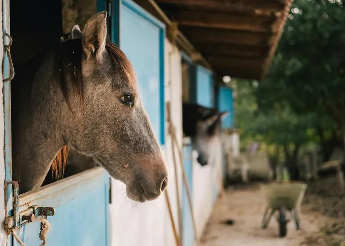Nocleg ze śniadaniem Badde Cubas