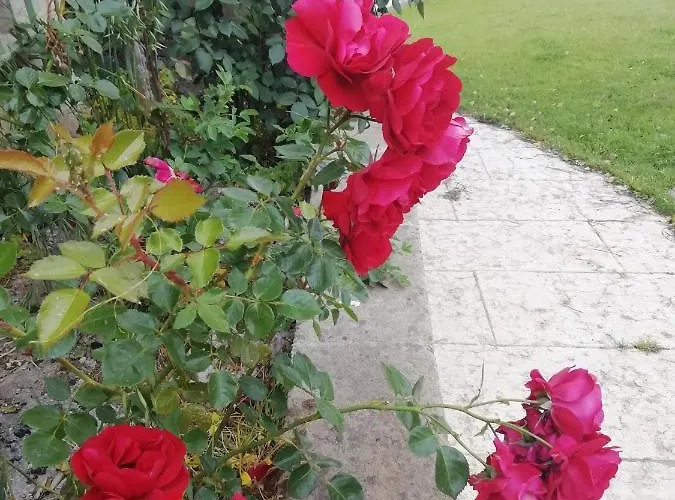 Badde Cubas Nocleg ze śniadaniem Usini