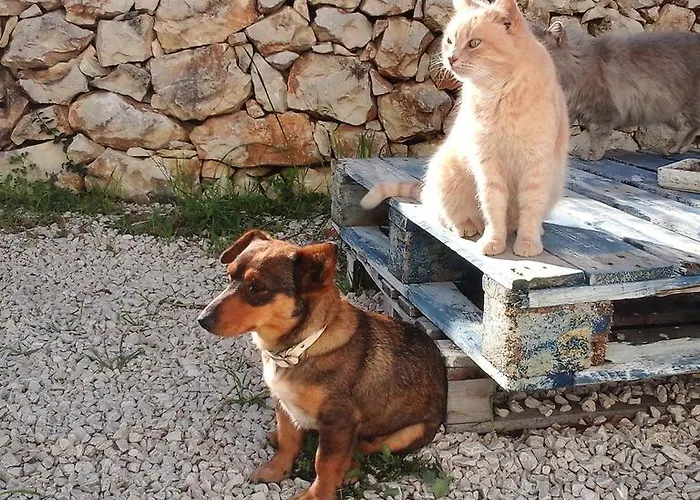 Badde Cubas Nocleg ze śniadaniem Usini