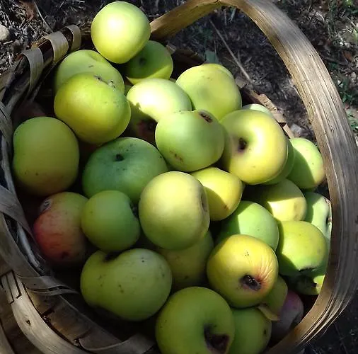 Badde Cubas Nocleg ze śniadaniem 3*