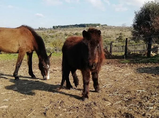 Nocleg ze śniadaniem Badde Cubas Usini