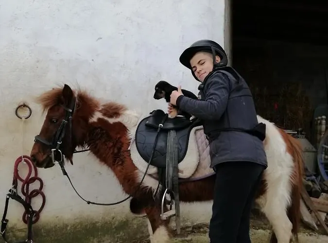Nocleg ze śniadaniem Badde Cubas Usini