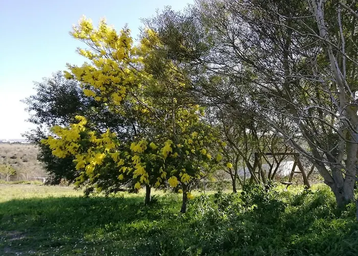 Nocleg ze śniadaniem Badde Cubas 3*