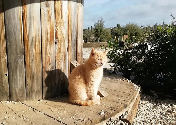 Badde Cubas Nocleg ze śniadaniem Usini