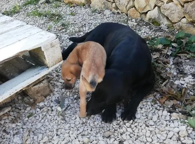 Badde Cubas Nocleg ze śniadaniem 3*