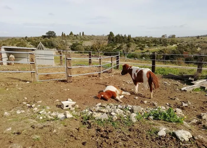 Badde Cubas Nocleg ze śniadaniem