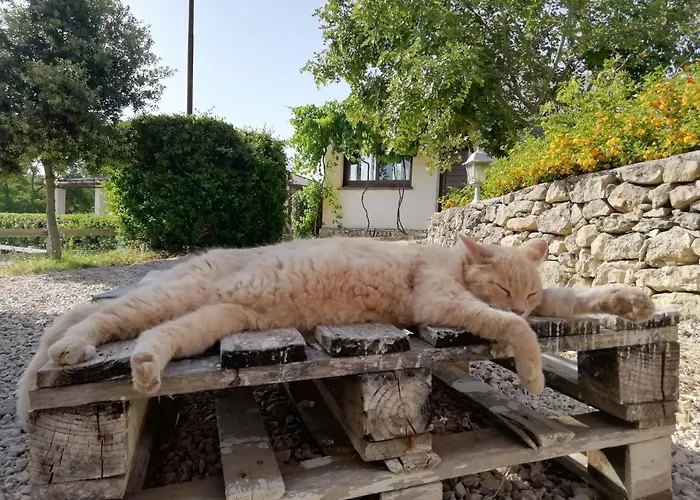 Nocleg ze śniadaniem Badde Cubas