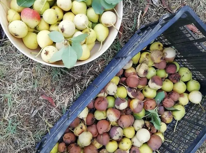 Badde Cubas Nocleg ze śniadaniem Usini