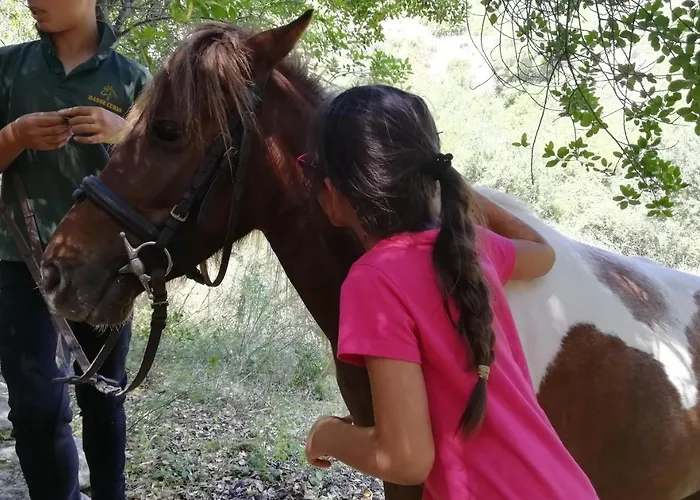 Nocleg ze śniadaniem Badde Cubas 3*