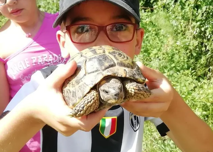 Nocleg ze śniadaniem Badde Cubas 3*