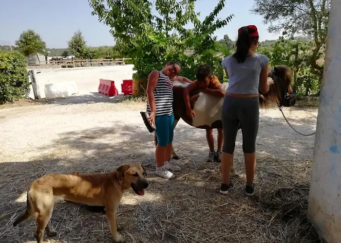 Nocleg ze śniadaniem Badde Cubas 3*